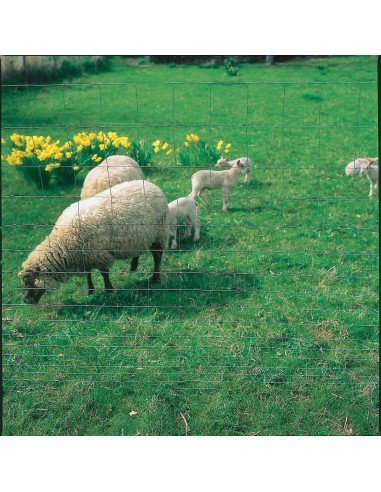 agriclos 3